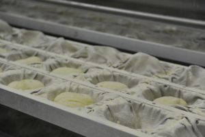 Novoforno Lievitazione