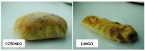 Puccia